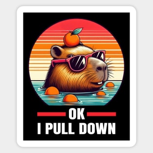 Ok I Pull Down Funny Capybara Sticker